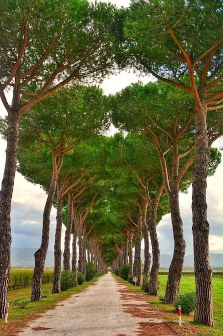 Appartamento Montenero Vista Mare Livorno Luaran gambar